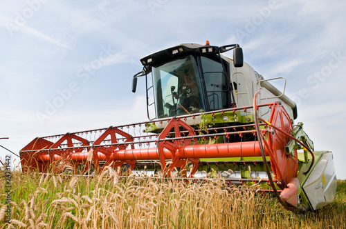 Photo : harvesting combine in the wheat field harvesting combine in the wheat field