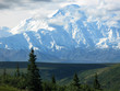 Denali's Mt McKinley from Kantishna