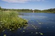 Rond dans l'eau
