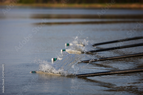 Foto: Skulls tauchen ins Wasser ein Skulls tauchen ins Wasser ein