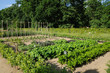 potager potager