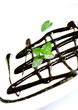 chocolate syrup and leaf of mint with powdered sugar on white chocolate syrup and leaf of mint with powdered sugar on white