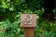 Brass Two on Wood Marker in Woods