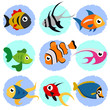 cartoon fish set