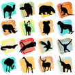 wild animals