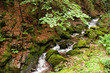 Wildbach