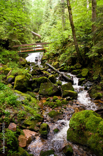 Foto: Wildbach Wildbach