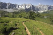 Bergweg