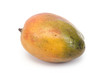 mangue