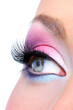 fashion makeup of a female eye