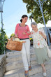 Home carer with elderly person in town