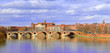 Toulouse Panorama