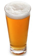 verre de bière fraiche