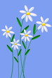 Frühlingsblumen
