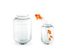 Couple de Poissons Rouges