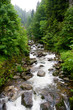 Wildwasser
