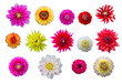 Blumenbukett