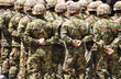 Swiss solders in camouflage