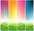 Green field with butterflies, times of day Green field with butterflies, times of day