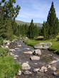 torrent de montagne
