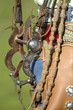 cowgirl gear