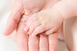 caucasian baby hand in father's palm caucasian baby hand in father's palm