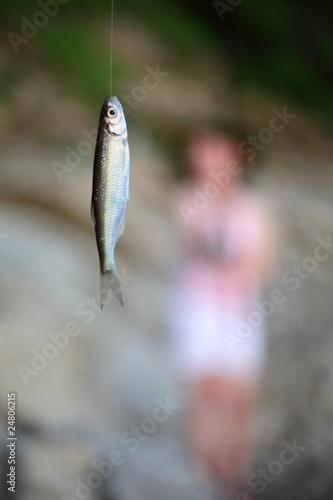 Photo: bleak fish bleak fish