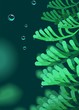 Illustration of plant in a green background Illustration of plant in a green background