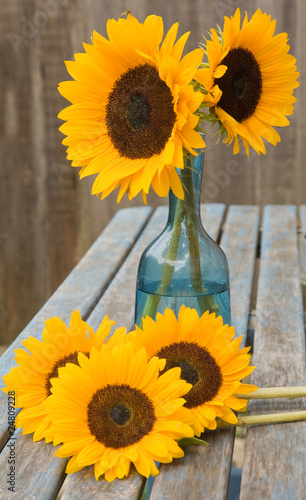 Photo: still life with sunflowers in blue glass decante still life with sunflowers in blue glass decante