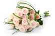 Beautiful Roses Beautiful Roses