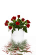 Rosen im Wasser