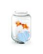 Couple de Poissons Rouges