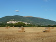 Assisi - Panoramica
