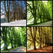 Four Seasons
