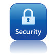 SECURITY Web Button (internet secure access virus padlock icon)