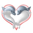 dolphin in love