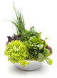 Fresh Green Herbs