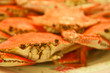 crabs