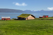 Grassy roof