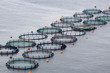Aquaculture
