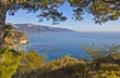 Big Sur Coastline