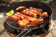 Grill
