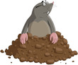 Mole