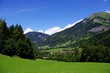 Paysage de montagne verdoyant