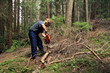 Foto: Waldarbeit Waldarbeit