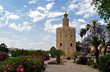 torre del oro2