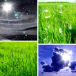 Sky & Grass