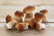 Steinpilze