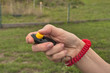 Klickertraining