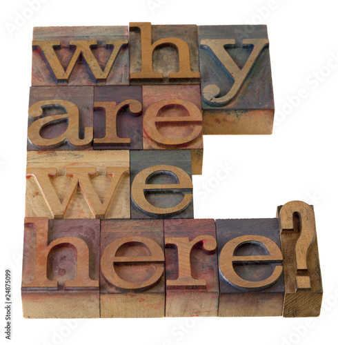 Photo: why are we here question why are we here question
